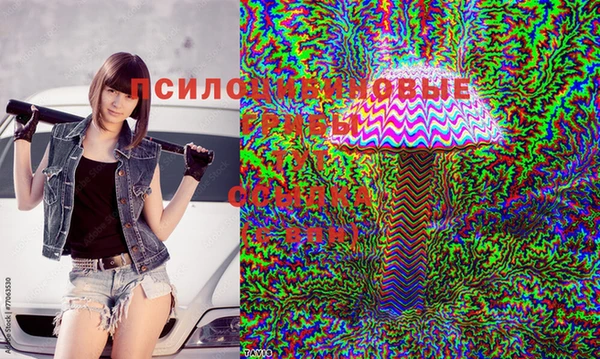 марихуана Баксан